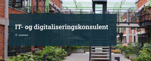 IT- og digitaliseringskonsulent til FA09