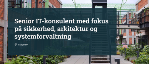 Senior IT-konsulent til FA09